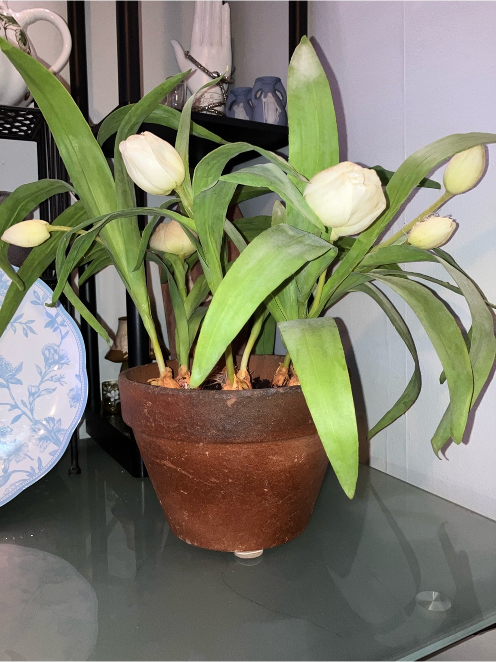 Large Realistic Artificial White Tulip Potted Plant with Bulbs and Faux Soil
